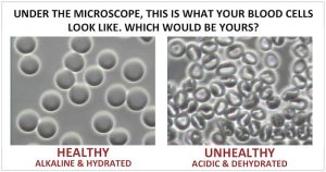 acidic alkaline blood cells