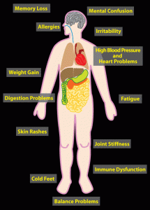 Effects Of Toxins In The Human Body