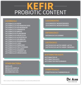 kefir probiotics