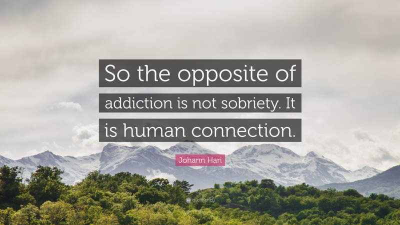 Addiction Johann Hari