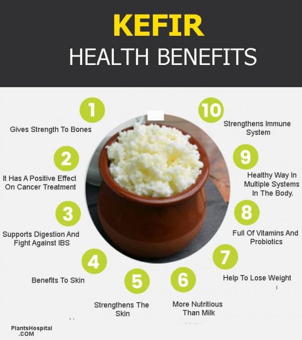 Kefir For A Healthy Gut