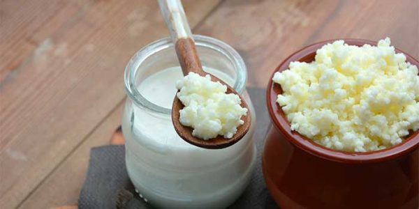 Kefir Grains